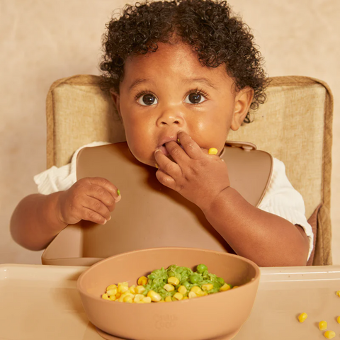 The No Fuss Food Bib